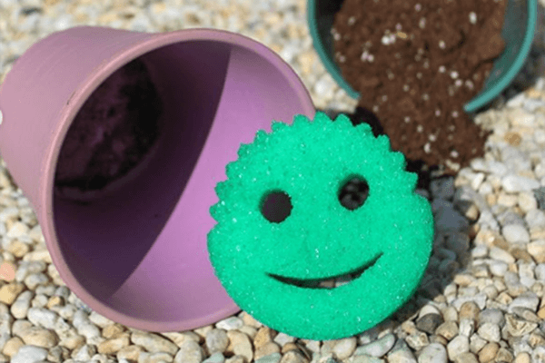 https://scrubdaddy.co.uk/wp-content/uploads/2020/05/Garden.png