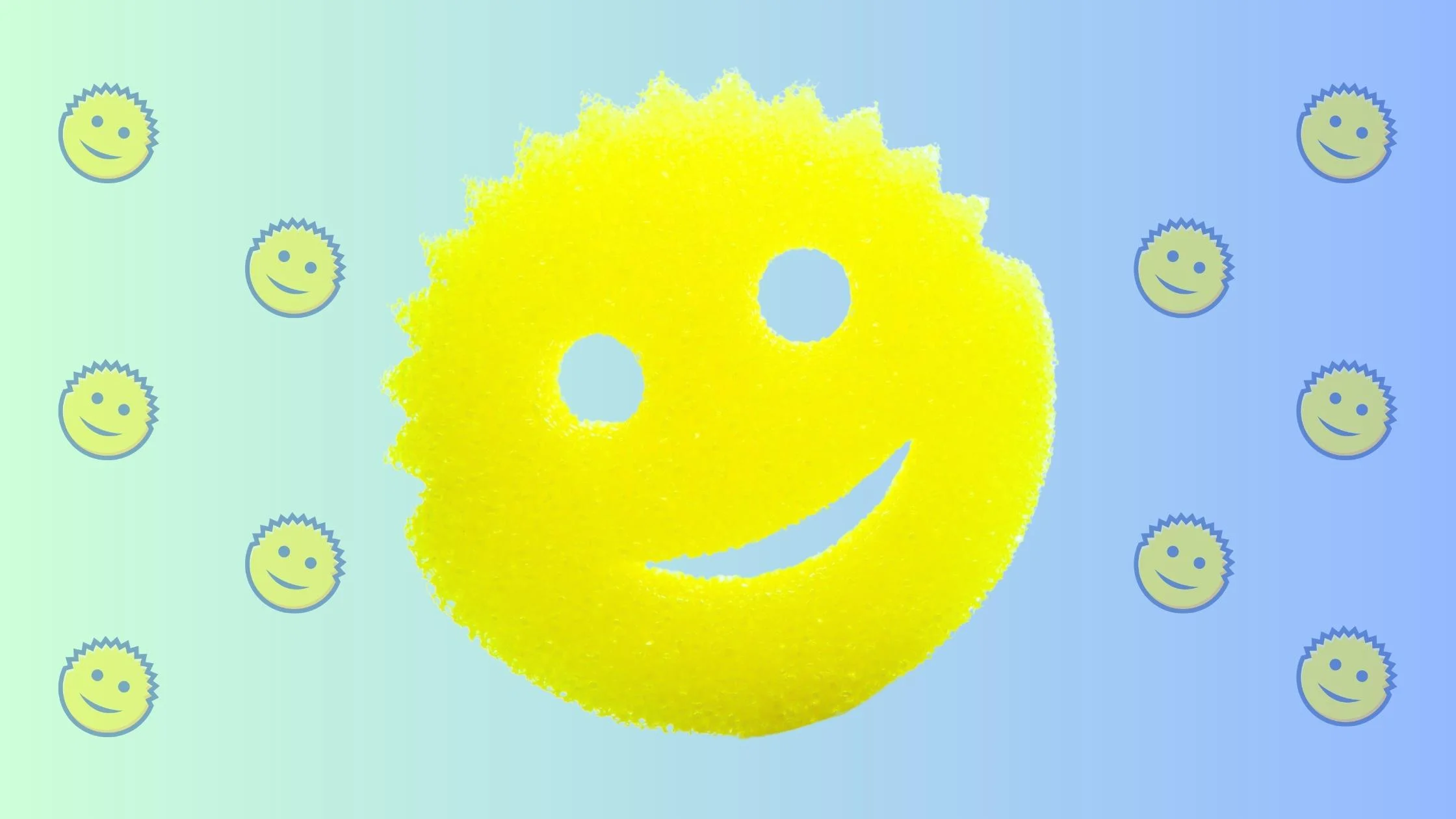 Scrub Daddy Header