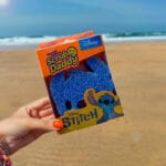 Stitch Still Image - Beach (5)