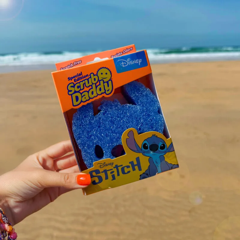 Stitch Still Image - Beach (5)